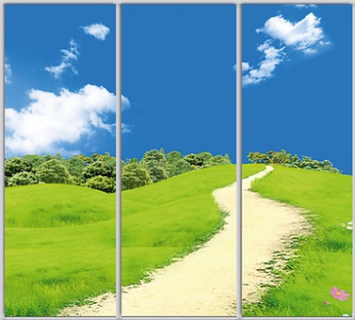 

Шкаф купе Luxe Studio Стандарт-1 Фотопечать Природа-183 2300x2100x450 трехдверный