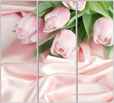 

Шкаф купе Luxe Studio Стандарт-1 Фотопечать Природа-148 2300x2400x450 трехдверный