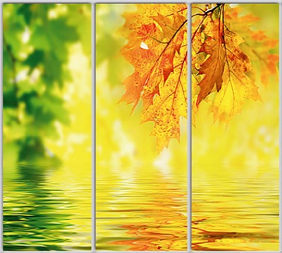 

Шкаф купе Luxe Studio Стандарт-1 Фотопечать Природа-203 2300x2300x450 трехдверный