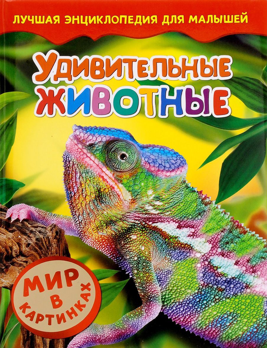 

Удивительные животные. Мир в картнинках