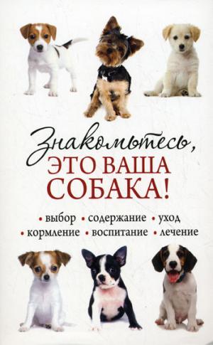 

Знакомьтесь, это ваша собака!