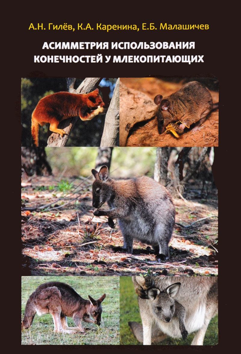 

Асимметрия использования конечностей у млекопитающих