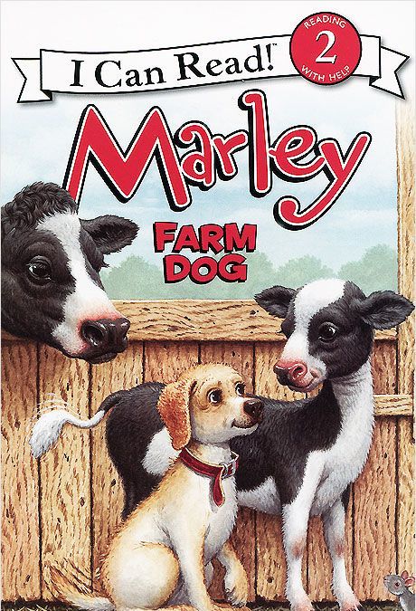 

Marley. Farm Dog