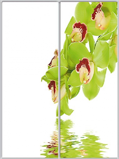 

Шкаф купе Luxe Studio Стандарт-1 Фотопечать Природа-4 1100x2200x600 двухдверный