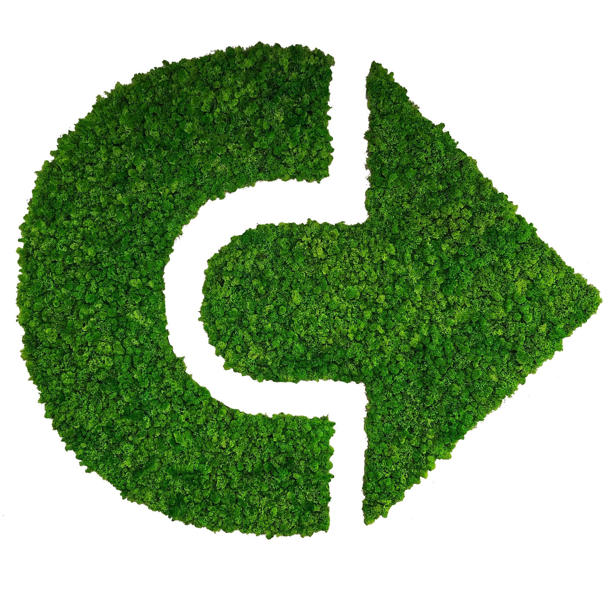 

Стабилизированный мох SO Green Логотип 1м² (005)