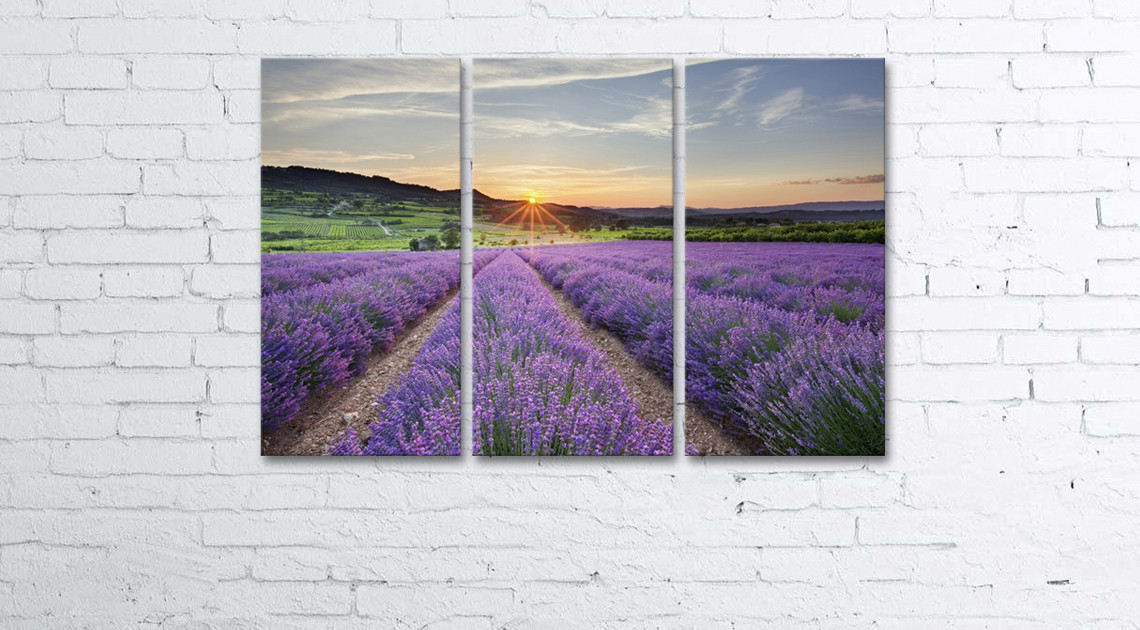 

Модульная картина на холсте 3 в 1 Лавандовое поле 60х90 см