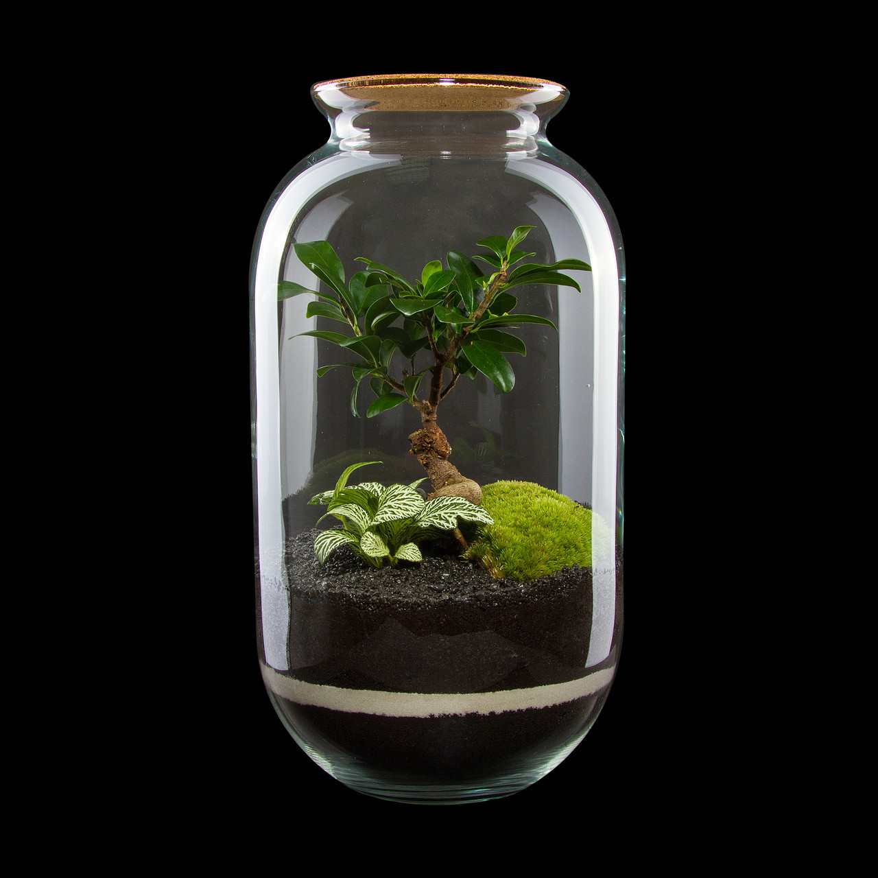 

Декоративный флорариум в банке из эко-стекла MossGarden Ф2