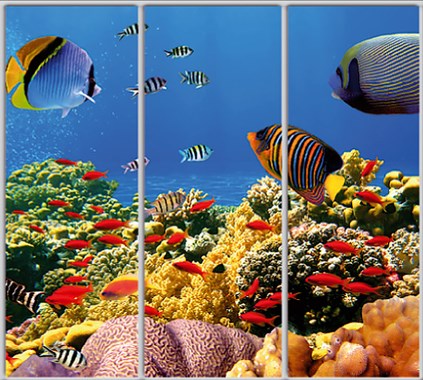 

Шкаф купе Luxe Studio Стандарт-1 Фотопечать Море-58 2200x2000x450 трехдверный