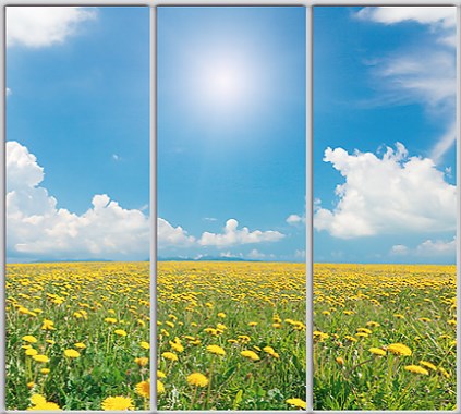 

Шкаф купе Luxe Studio Стандарт-1 Фотопечать Природа-193 2400x2200x450 трехдверный