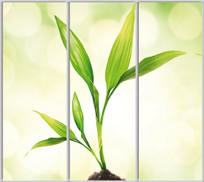 

Шкаф купе Luxe Studio Стандарт-1 Фотопечать Природа-80 2400x2200x450 трехдверный