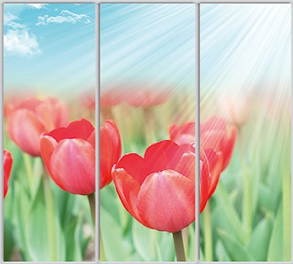 

Шкаф купе Luxe Studio Стандарт-1 Фотопечать Природа-144 2400x2200x450 трехдверный