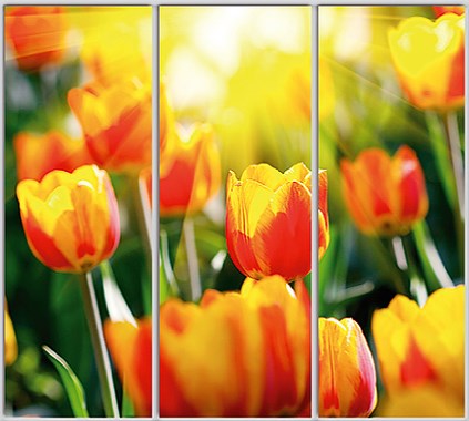 

Шкаф купе Luxe Studio Стандарт-1 Фотопечать Природа-136 2400x2300x450 трехдверный