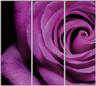 

Шкаф купе Luxe Studio Стандарт-1 Фотопечать Природа-85 2400x2100x450 трехдверный