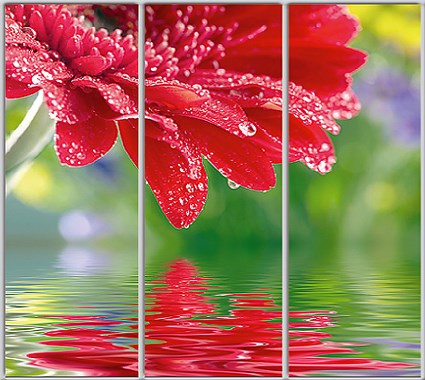 

Шкаф купе Luxe Studio Стандарт-1 Фотопечать Природа-208 2400x2000x450 трехдверный