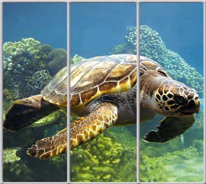 

Шкаф купе Luxe Studio Стандарт-1 Фотопечать Животные-2 2400x2400x450 трехдверный