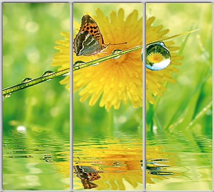 

Шкаф купе Luxe Studio Стандарт-1 Фотопечать Природа-214 2400x2300x450 трехдверный