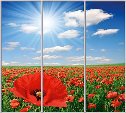 

Шкаф купе Luxe Studio Стандарт-1 Фотопечать Природа-164 2400x2000x450 трехдверный