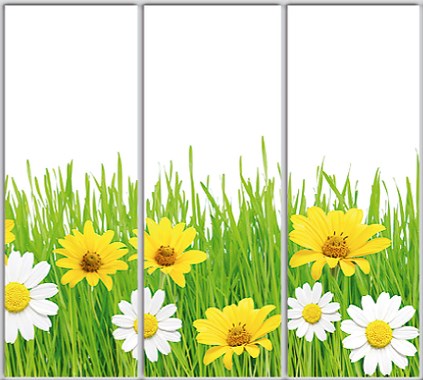 

Шкаф купе Luxe Studio Стандарт-1 Фотопечать Природа-189 2400x2100x450 трехдверный