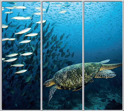 

Шкаф купе Luxe Studio Стандарт-1 Фотопечать Море-11 2400x2300x450 трехдверный