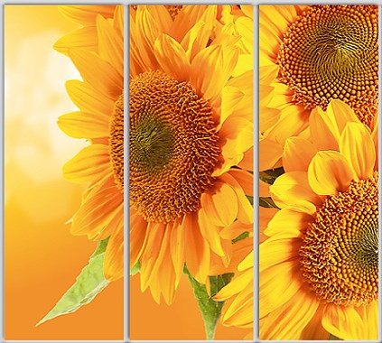 

Шкаф купе Luxe Studio Стандарт-1 Фотопечать Природа-217 2400x2200x450 трехдверный