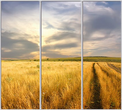 

Шкаф купе Luxe Studio Стандарт-1 Фотопечать Природа-132 2400x2200x450 трехдверный