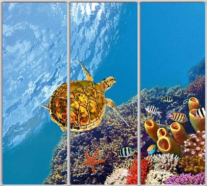 

Шкаф купе Luxe Studio Стандарт-1 Фотопечать Море-56 2400x2100x450 трехдверный