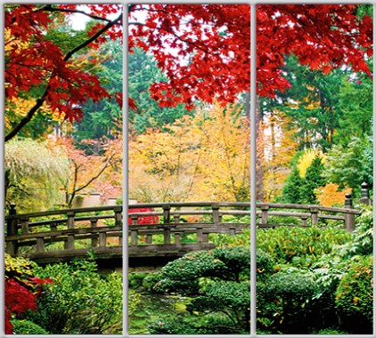 

Шкаф купе Luxe Studio Стандарт-1 Фотопечать Природа-184 2400x2000x450 трехдверный