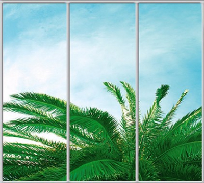 

Шкаф купе Luxe Studio Стандарт-1 Фотопечать Природа-115 2400x2000x450 трехдверный