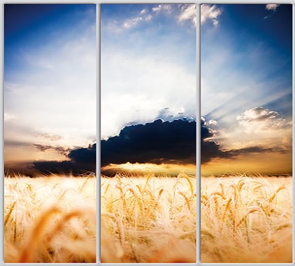 

Шкаф купе Luxe Studio Стандарт-1 Фотопечать Природа-130 2400x2300x450 трехдверный