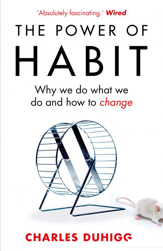 

The Power of Habit: Why We Do What We Do, and How to Change (754306)