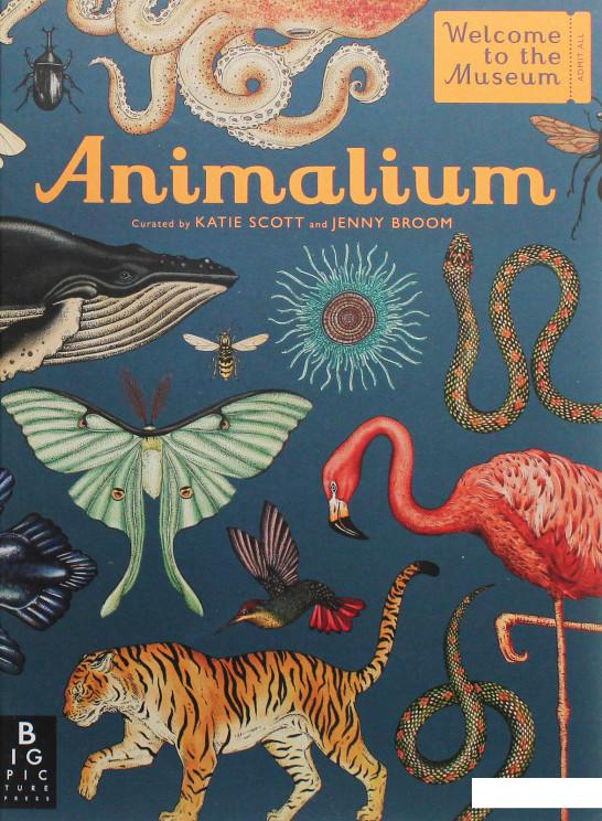 

Animalium (1115292)