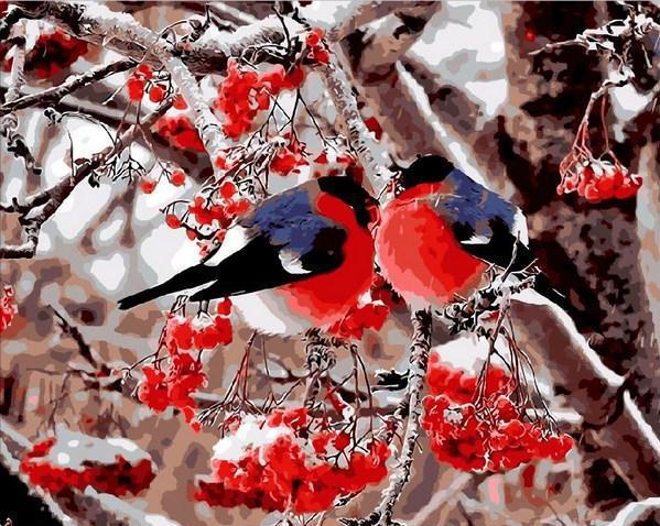 

Картина по номерам Снегири, 40x50 см., Mariposa