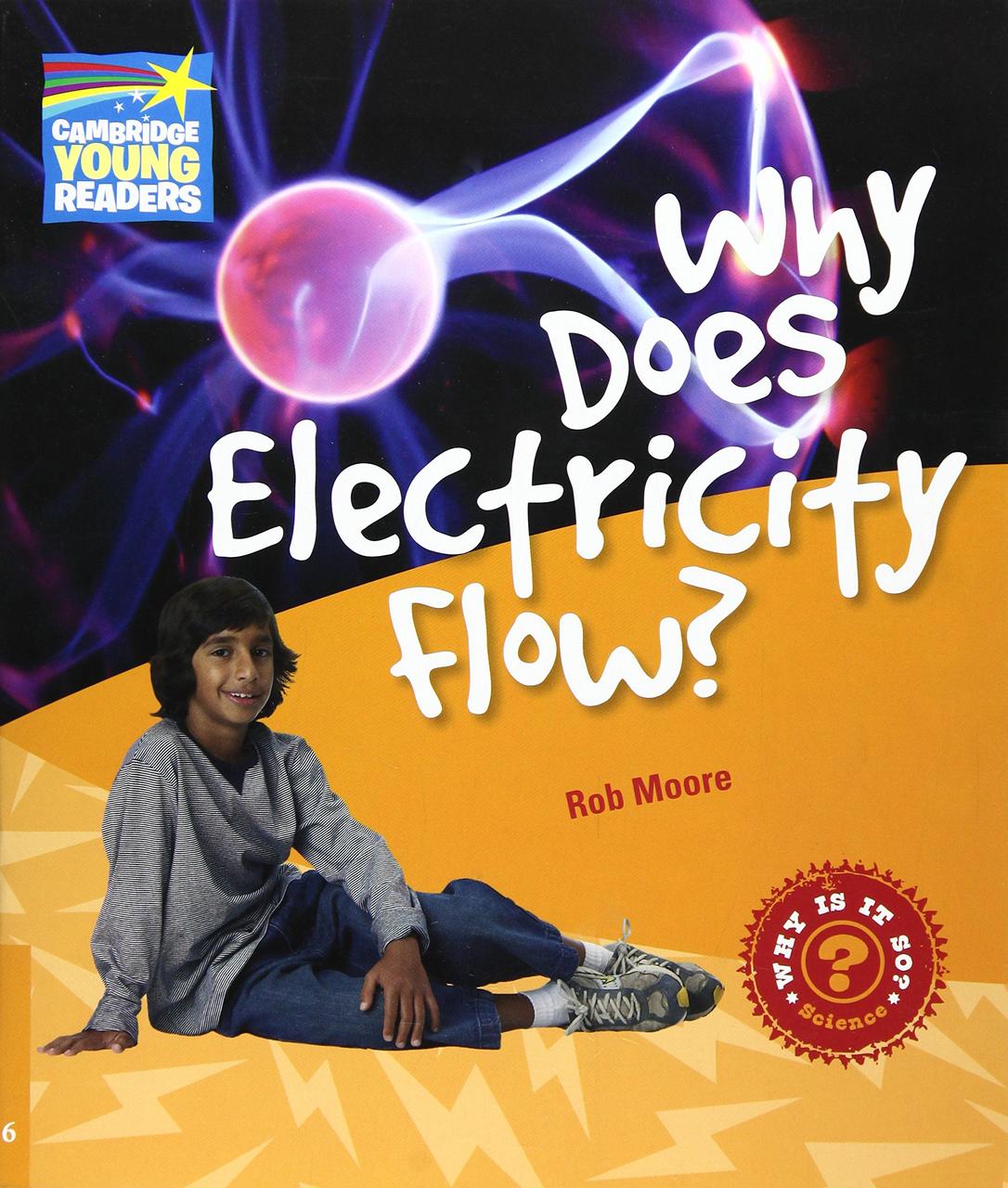 

Why Does Electricity Flow Level 6