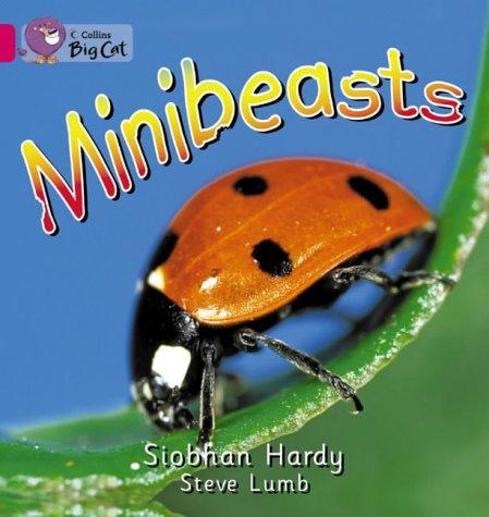 

Minibeasts. Workbook