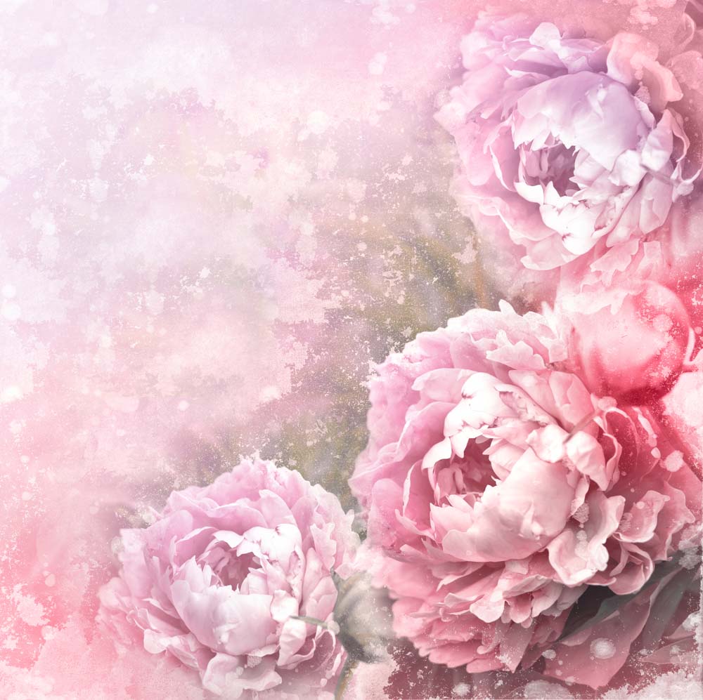 Нежные розовые цветы акварель