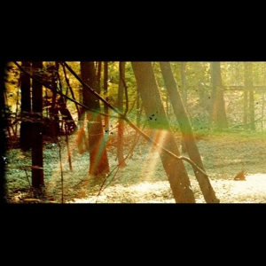 

Виниловая пластинка Childish Gambino Camp (арт. 89111)