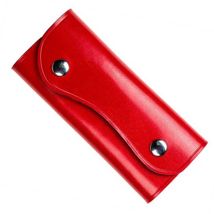 

Ключник AMO ACCESSORI с карабинами AMOb6025red Красный