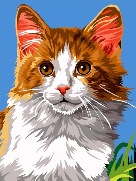 

Картина по номерам VK238 Домашний кот, 30x40 см., Babylon