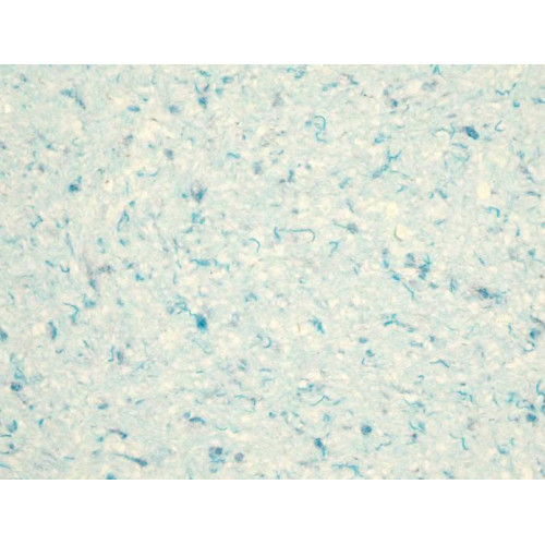 

Жидкие обои Limil Шанелька № 40ш голубые