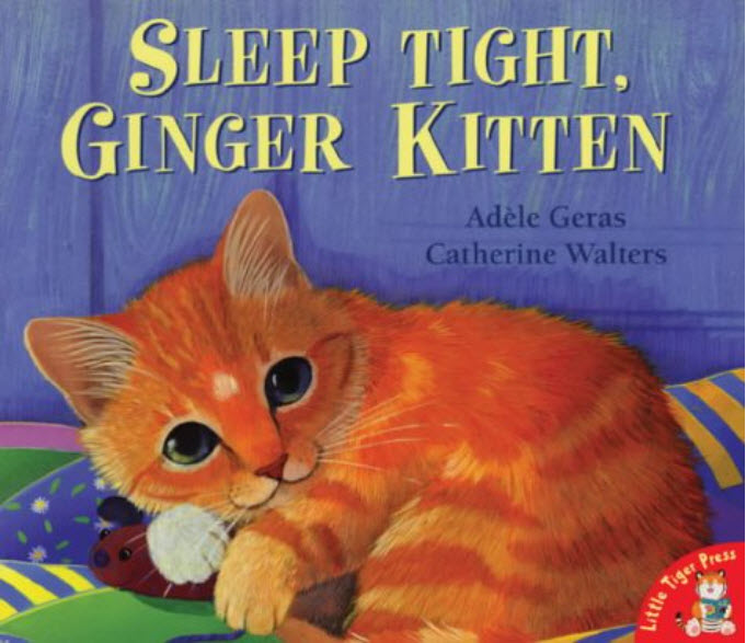 

Sleep Tight, Ginger Kitten