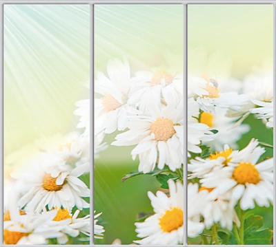 

Шкаф купе Luxe Studio Стандарт-1 Фотопечать Природа-137 2200x2300x600 трехдверный