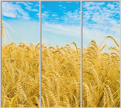 

Шкаф купе Luxe Studio Стандарт-1 Фотопечать Природа-95 2200x2100x600 трехдверный