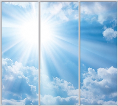 

Шкаф купе Luxe Studio Стандарт-1 Фотопечать Природа-162 2200x2200x600 трехдверный