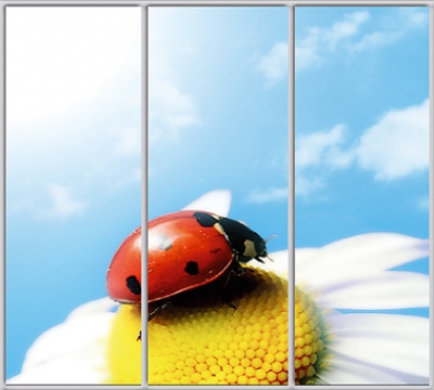 

Шкаф купе Luxe Studio Стандарт-1 Фотопечать Природа-31 2200x2300x600 трехдверный