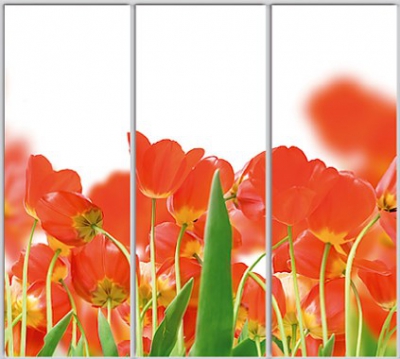 

Шкаф купе Luxe Studio Стандарт-1 Фотопечать Природа-111 2200x2400x600 трехдверный