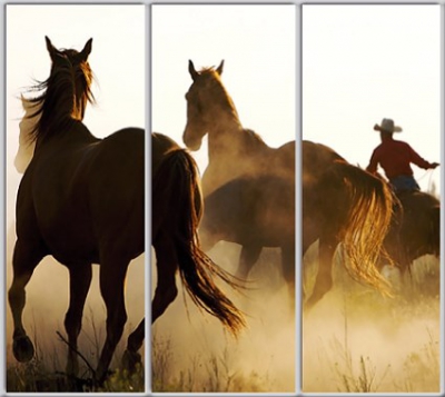 

Шкаф купе Luxe Studio Стандарт-1 Фотопечать Животные-11 2200x2200x600 трехдверный