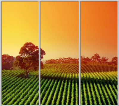 

Шкаф купе Luxe Studio Стандарт-1 Фотопечать Природа-44 2200x2400x600 трехдверный