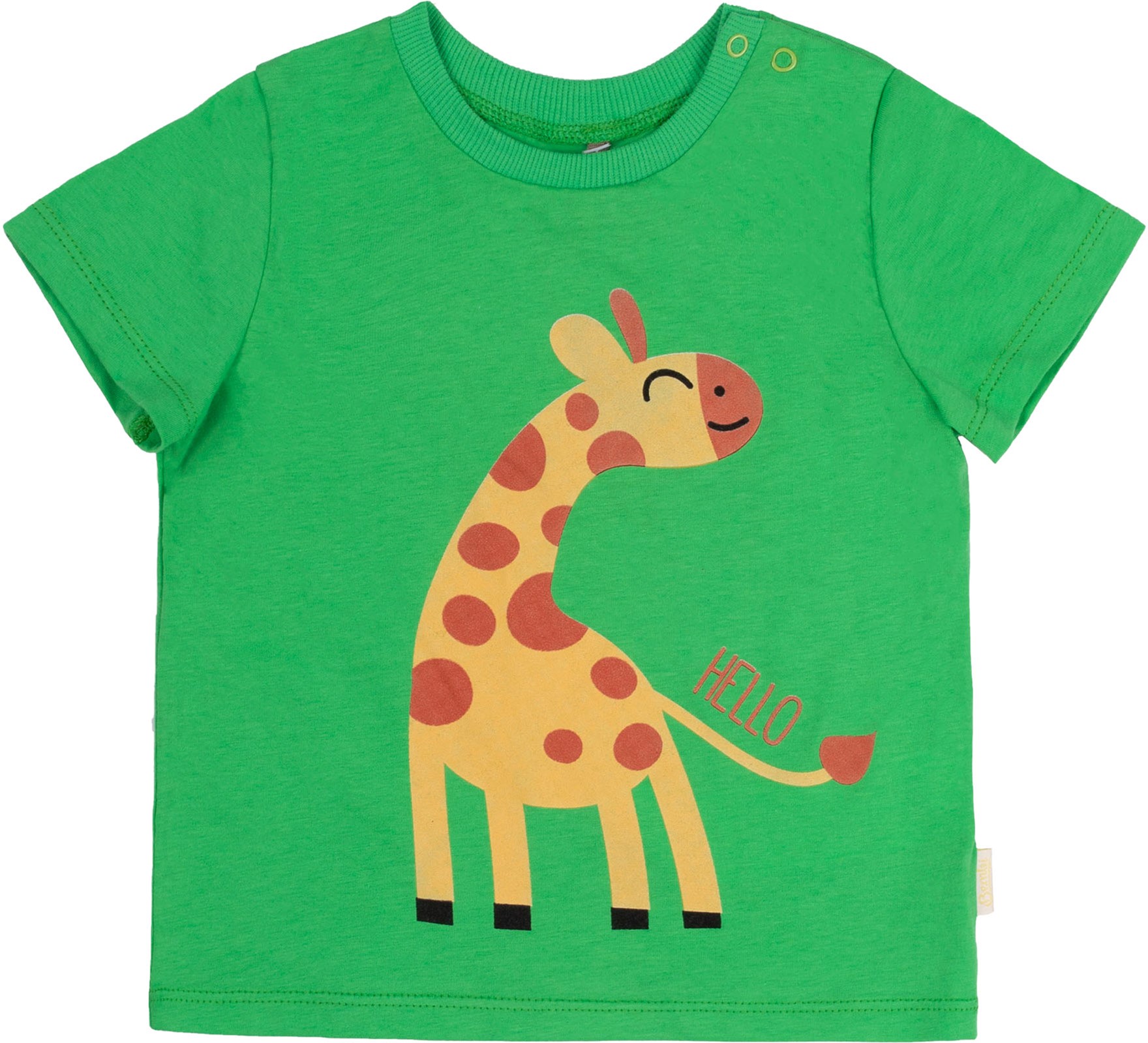 

Футболка Бемби ФБ691 80 см Зеленая (24691011035.600)