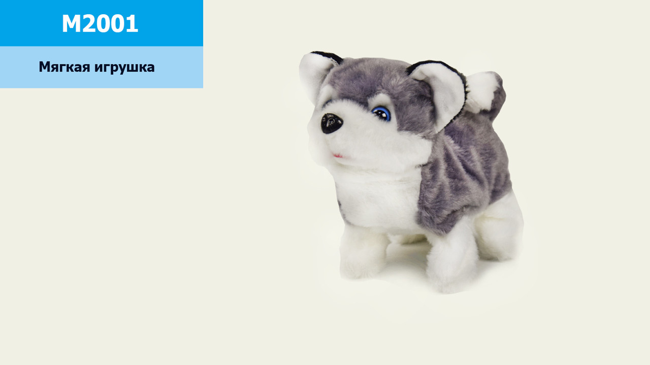 

Мягкая игрушка Хаски, ходит, лает, 17*9*14см, в п/э 25*22см /112/ (M2001)