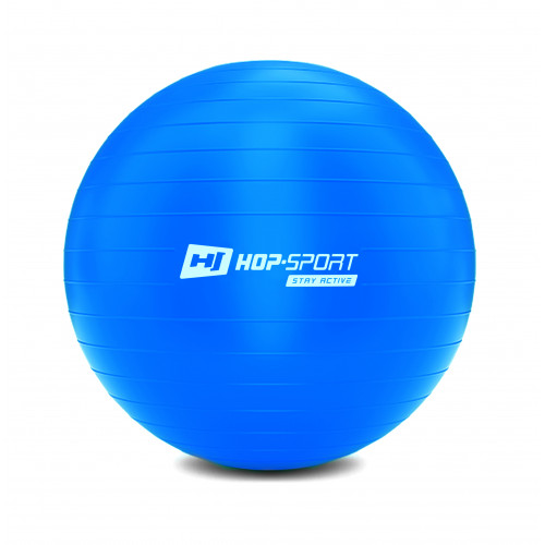 

Фитбол Hop-Sport 65 см синий с насосом 2020 (HS-R065YB)